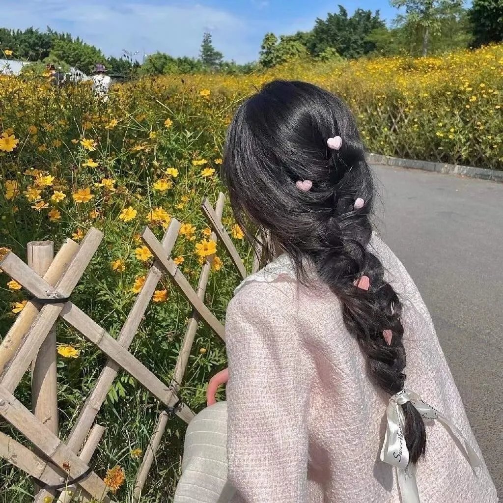 一只狗的大学时光
