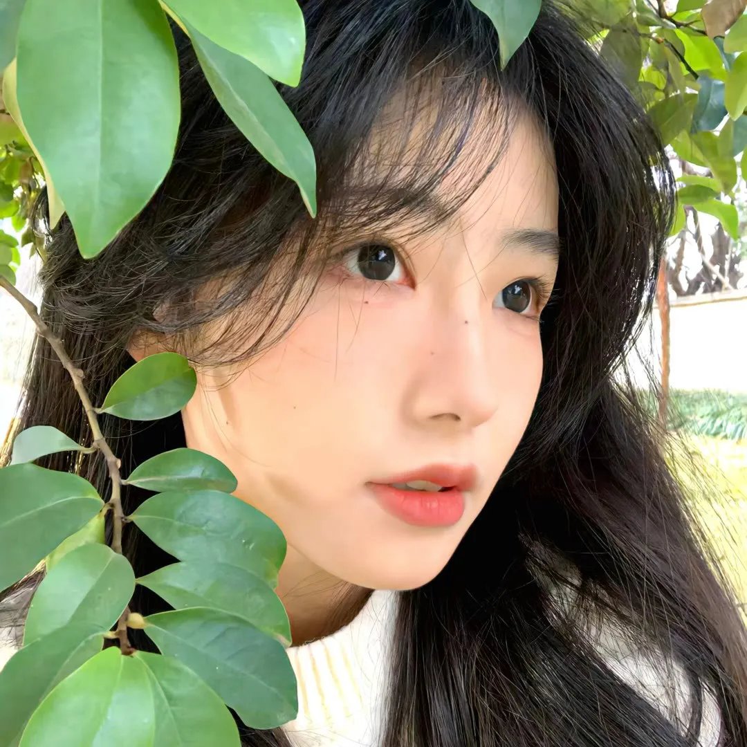 官能的法则